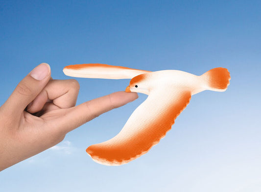 PhänoMINT Magischer Schwebevogel