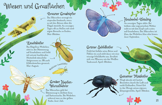 Naturführer: Krabbeltiere
