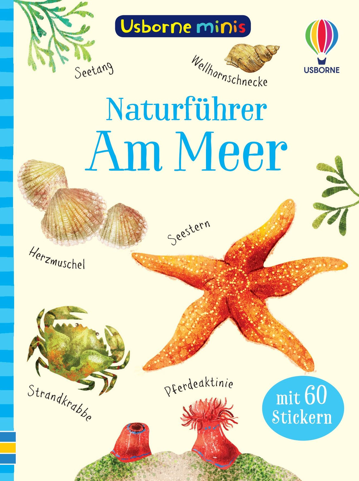 Naturführer: Am Meer