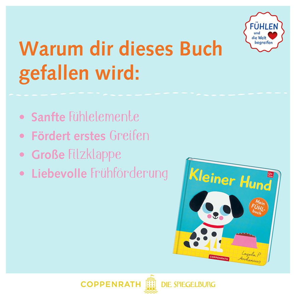 Mein Fühlbuch: Kleiner Hund ab 1J.