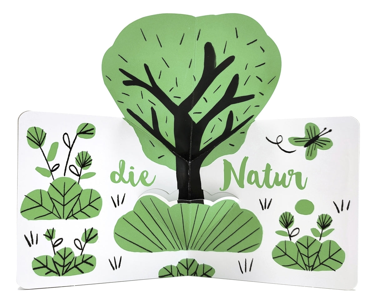 Grün Pop-Up ab 3J.