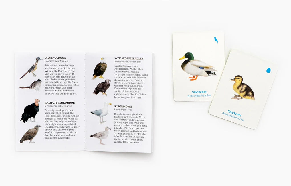 Finde das Vogelbaby Memo