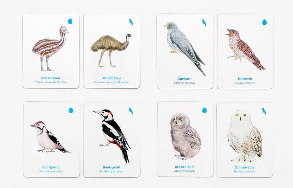 Finde das Vogelbaby Memo