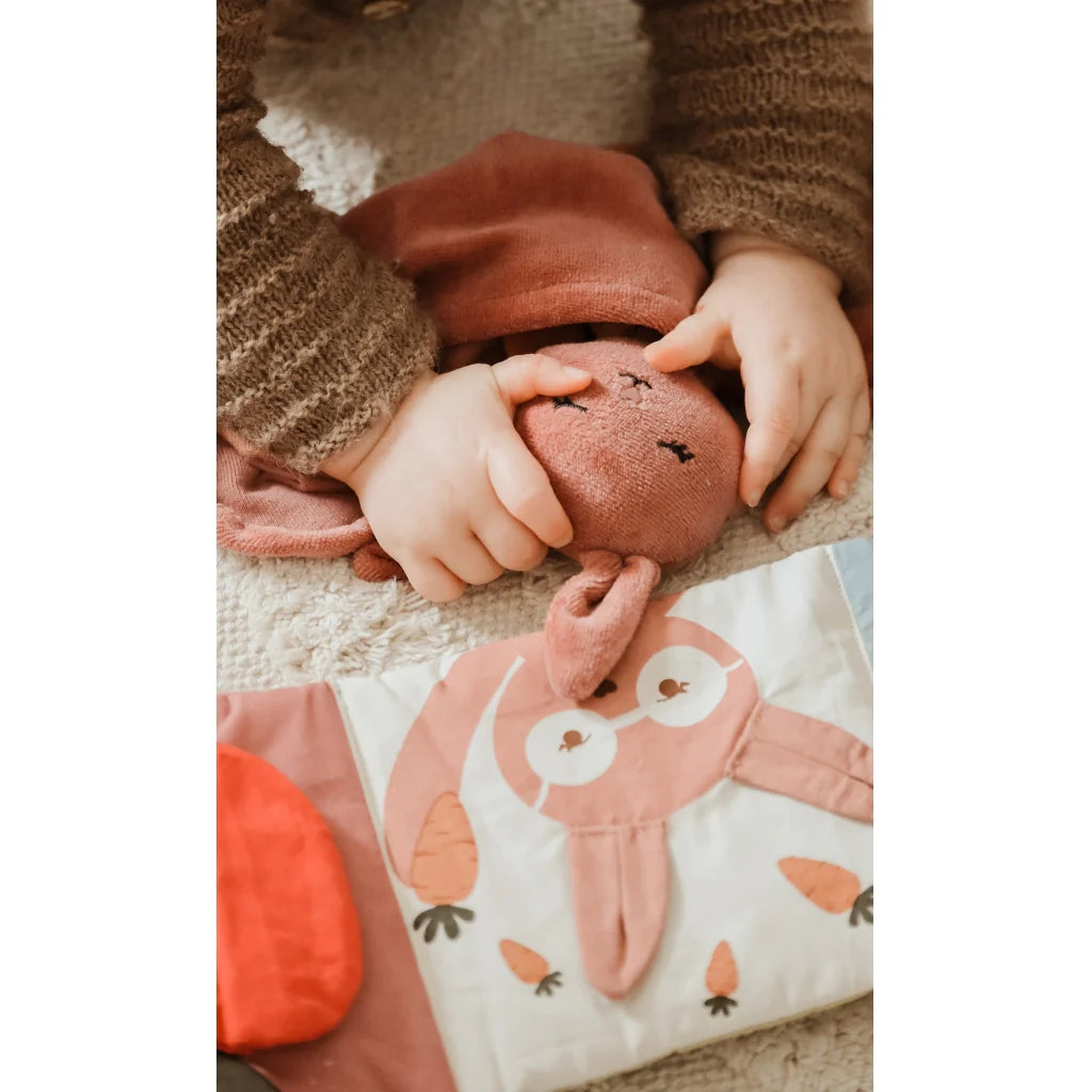 Cuddler Bunny Ash Rose