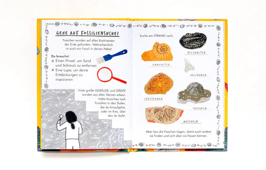 Hallo Fossilien & Muscheln ab 6J.