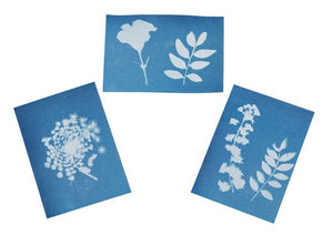 Blatt- und Blütenpresse mit Sonnendruckpapier