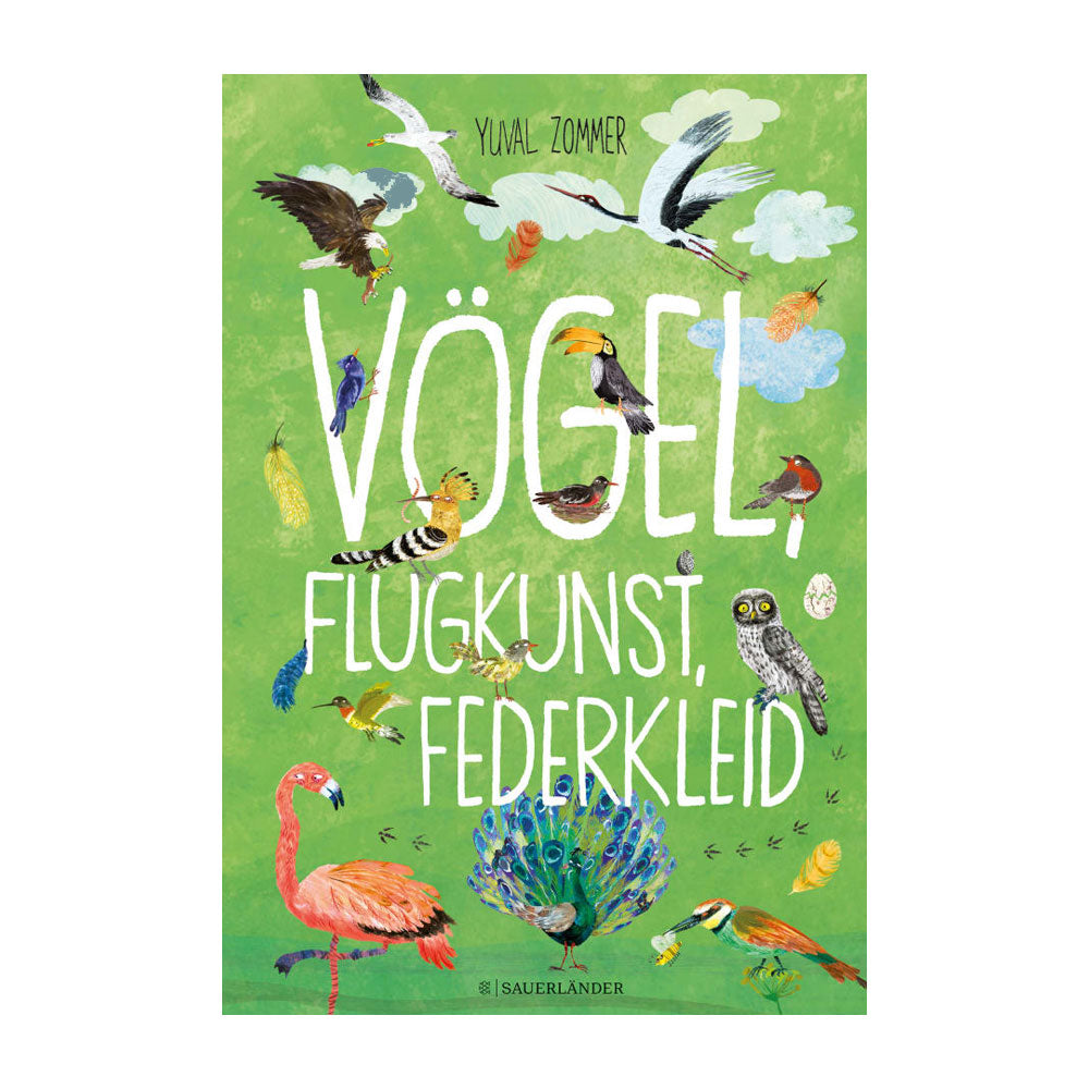 Vögel, Flugkunst, Federkleid ab 4J.