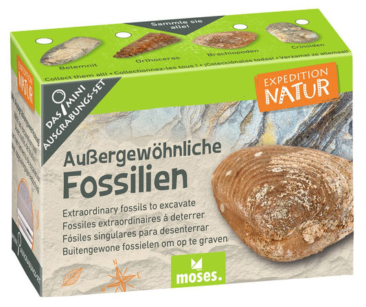 Mini-Ausgrabungsset