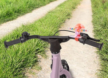 Laden Sie das Bild in den Galerie-Viewer, Leuchtender Fahrrad-Flieger