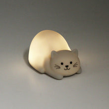 Laden Sie das Bild in den Galerie-Viewer, Tiny Nachtlicht Katze