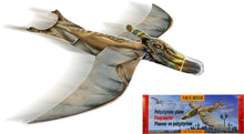 Laden Sie das Bild in den Galerie-Viewer, Flugsaurier