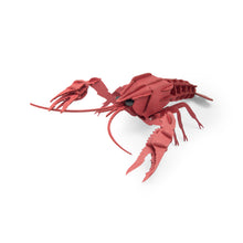 Laden Sie das Bild in den Galerie-Viewer, 3D-Tierpuzzle Flusskrebs