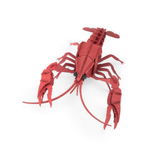Laden Sie das Bild in den Galerie-Viewer, 3D-Tierpuzzle Flusskrebs