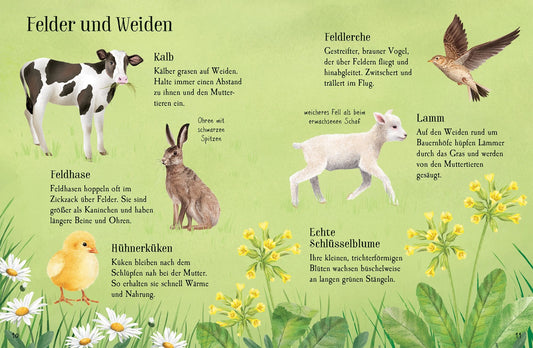 Naturführer: Entdecke den Frühling