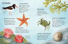 Laden Sie das Bild in den Galerie-Viewer, Naturführer: Entdecke den Sommer