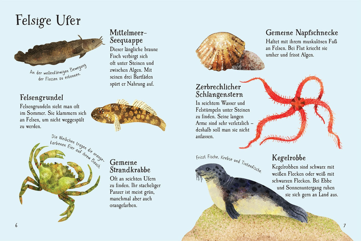 Naturführer: Am Meer