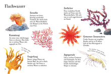 Laden Sie das Bild in den Galerie-Viewer, Naturführer: Am Meer