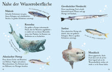 Laden Sie das Bild in den Galerie-Viewer, Naturführer: Fische