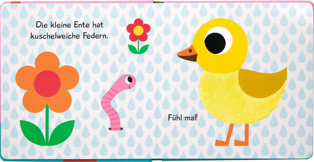 Mein Fühlbuch: Kleine Ente ab 1J.