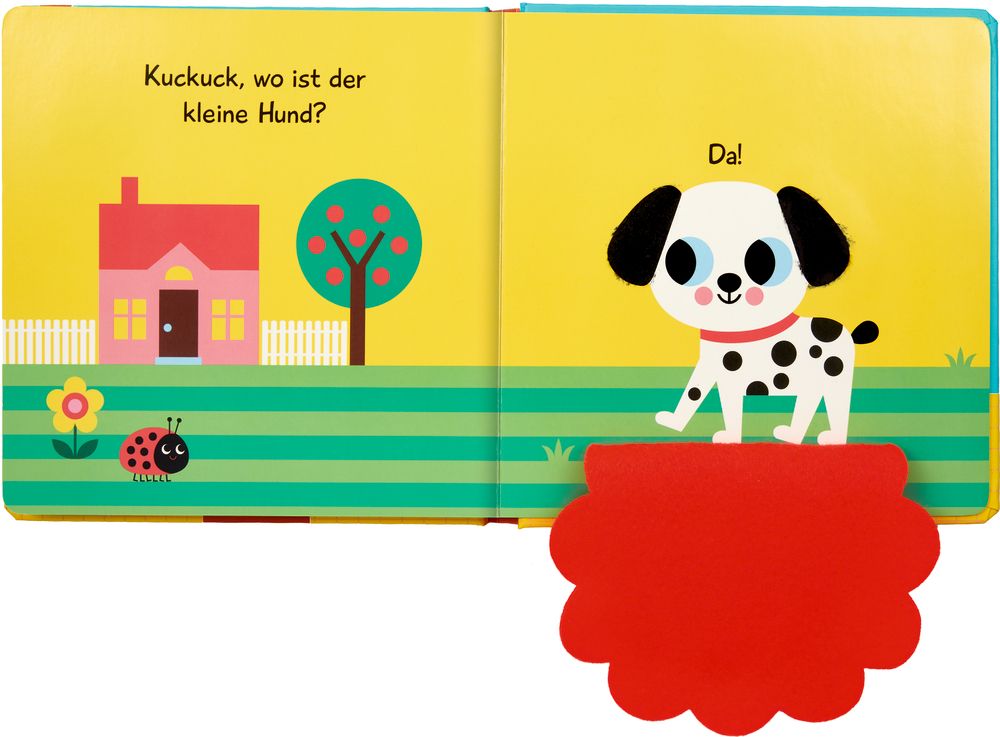 Mein Fühlbuch: Kleiner Hund ab 1J.