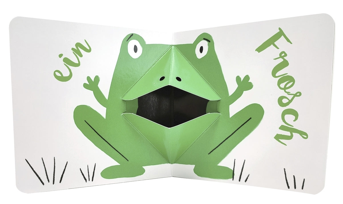 Grün Pop-Up ab 3J.