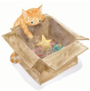 Das kleine Weihnachtssternchen ab 3J.