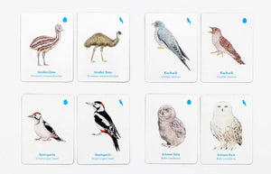 Finde das Vogelbaby Memo