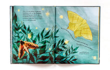 Laden Sie das Bild in den Galerie-Viewer, Nachtwanderung ab 6J.