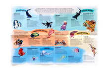 Laden Sie das Bild in den Galerie-Viewer, Abenteuer Ozean Team Puzzle 48- &amp; 132-teilig
