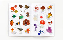 Laden Sie das Bild in den Galerie-Viewer, Hallo Herbst! Sticker- &amp; Activitybuch