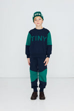 Laden Sie das Bild in den Galerie-Viewer, Tiny Color Block Jogginghose
