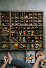 Laden Sie das Bild in den Galerie-Viewer, Holzspielset Pilze