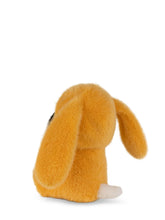 Laden Sie das Bild in den Galerie-Viewer, Easter Snoopy ECO Fuzzy Yellow