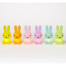 Laden Sie das Bild in den Galerie-Viewer, Miffy Colourful Surprise Collection