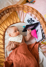 Laden Sie das Bild in den Galerie-Viewer, Babys kuschelweiches Kontrastbuch "Löwe"