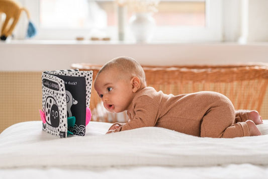 Babys kuschelweiches Kontrastbuch "Löwe"