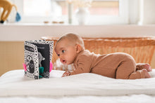 Laden Sie das Bild in den Galerie-Viewer, Babys kuschelweiches Kontrastbuch "Löwe"