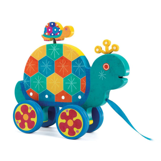Ziehtier Schildkröte Gaspard