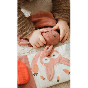 Cuddler Bunny Ash Rose