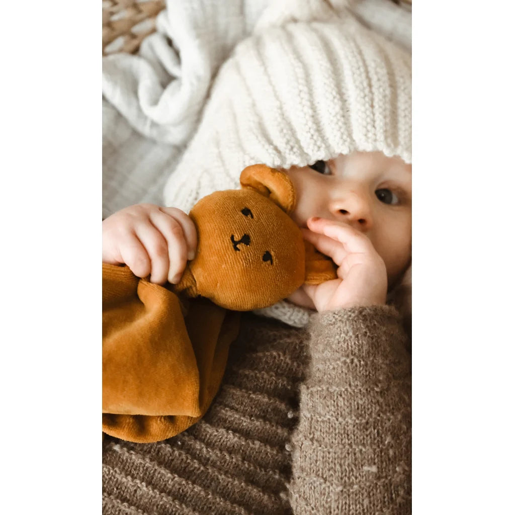 Cuddler Bear Wood Thrush