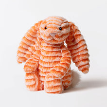 Laden Sie das Bild in den Galerie-Viewer, Fizzleskip Bunny Original