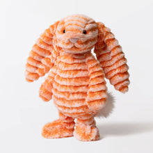 Laden Sie das Bild in den Galerie-Viewer, Fizzleskip Bunny Original