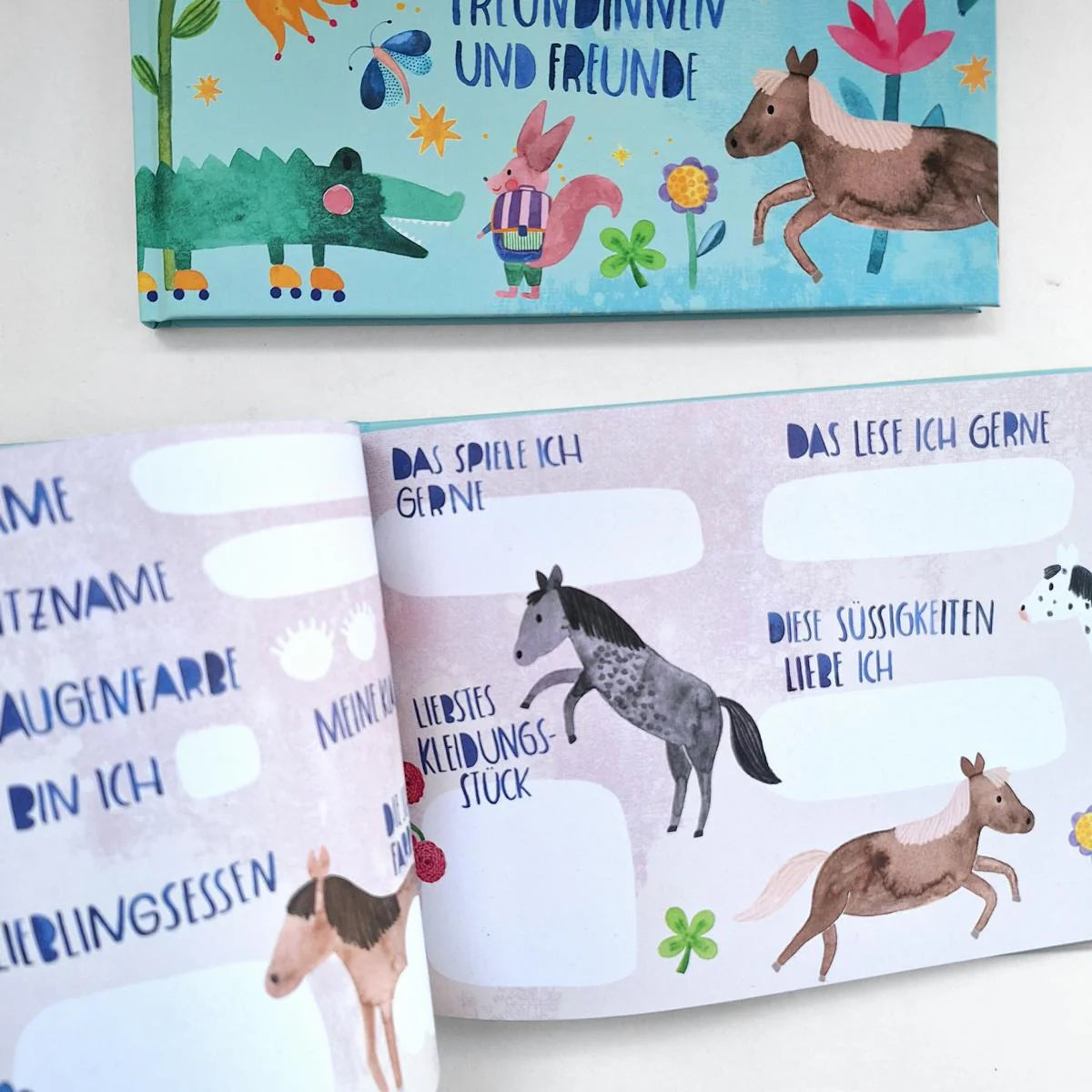Schule Freundebuch "Meine Freundinnen und Freunde"
