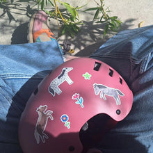 Laden Sie das Bild in den Galerie-Viewer, Spülmaschinenfeste Sticker *Pferde*