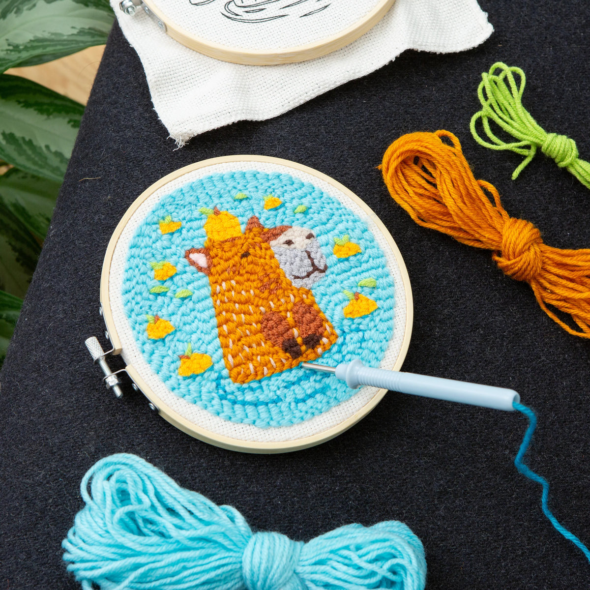 Capybara Punch Needle Set