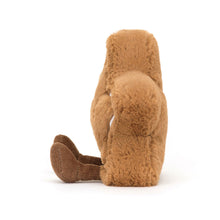 Laden Sie das Bild in den Galerie-Viewer, Amuseables Star Cookie