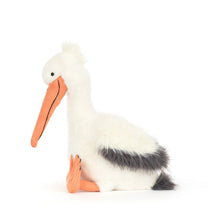 Laden Sie das Bild in den Galerie-Viewer, Keli Pelican