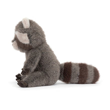 Laden Sie das Bild in den Galerie-Viewer, Trixiwoo Raccoon
