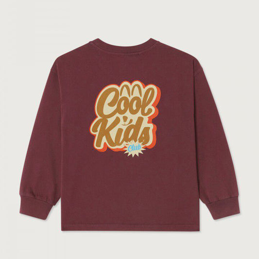 Longsleeve Fizvalley Vintage Aubergine