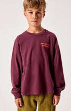 Laden Sie das Bild in den Galerie-Viewer, Longsleeve Fizvalley Vintage Aubergine